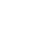 Champagne Pertois Moriset